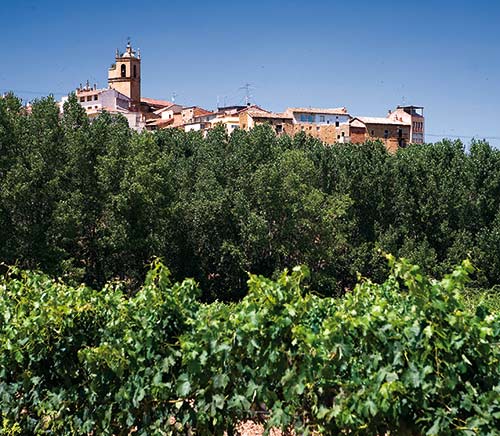 Rioja Alavesa - Lapuebla de Labarca