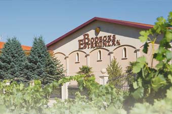 Visit our winery